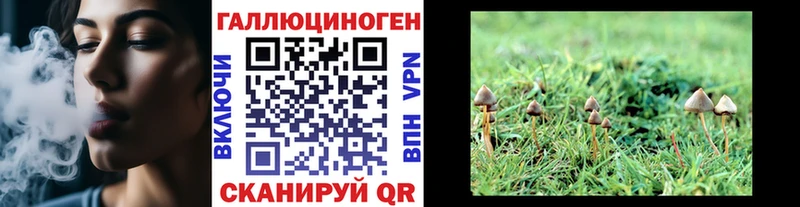 Псилоцибиновые грибы мухоморы  где купить   блэк спрут рабочий сайт  Судак 