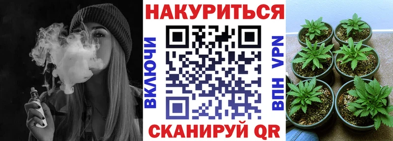 Бошки Шишки THC 21%  Судак 